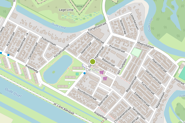 Ambulance-melding op Goudenregenstraat, Doesburg op 6 juni, kaart-overzicht
