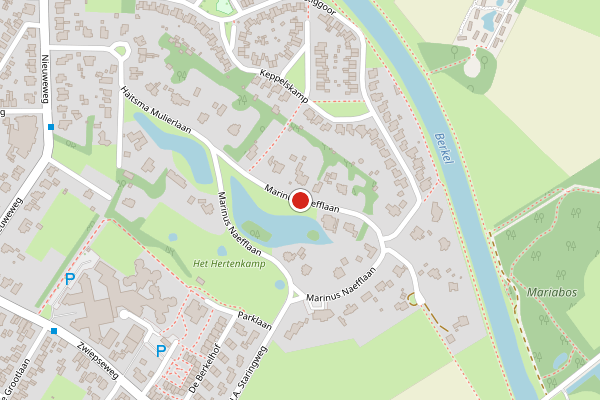 Brandweer-melding op Marinus Naefflaan, Lochem op 6 juni, kaart-overzicht