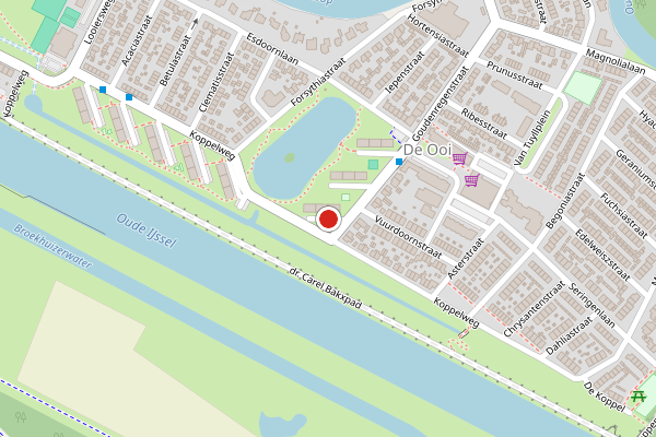 Brandweer-melding op Goudenregenstraat, Doesburg op 12 juni, kaart-overzicht